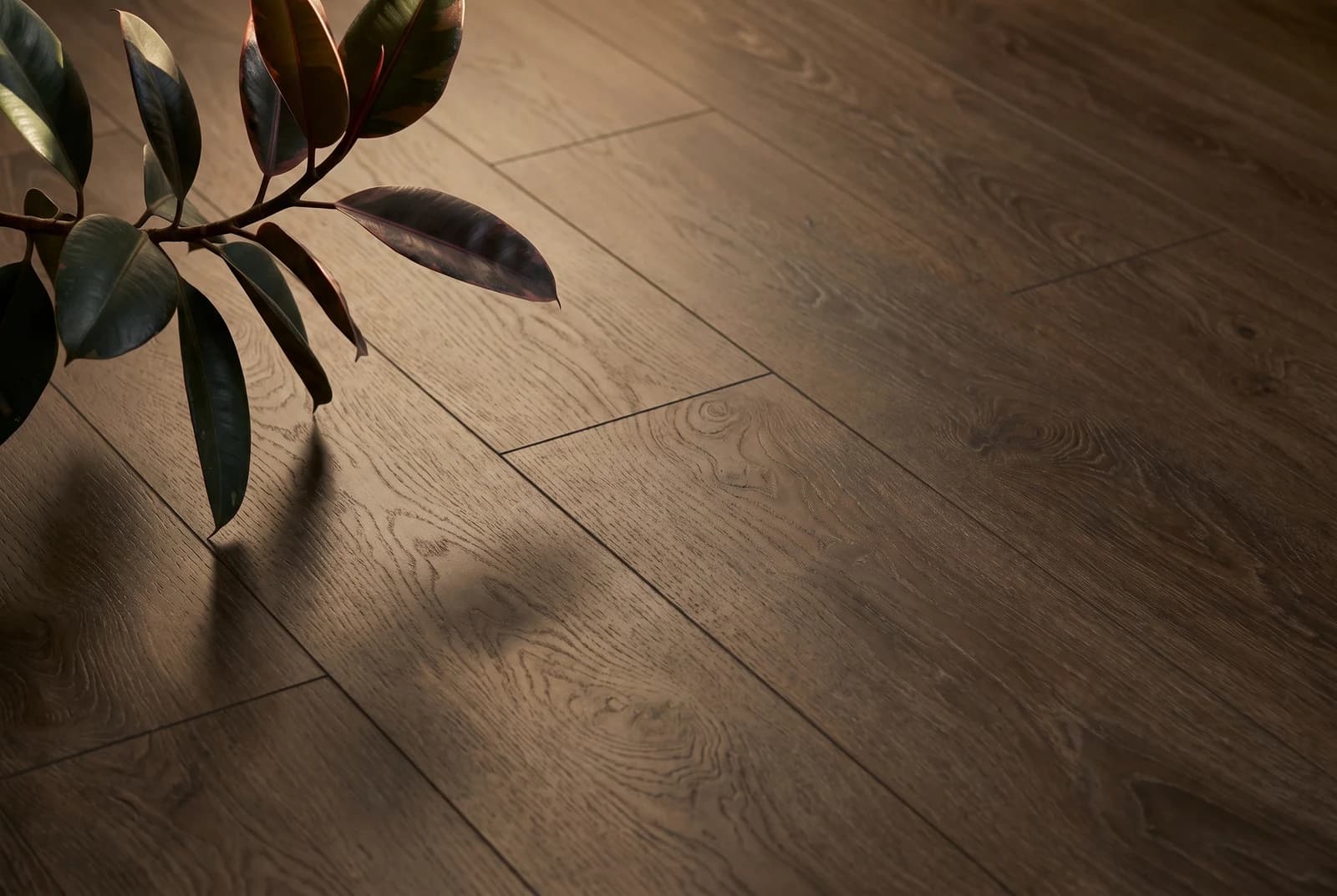 Klick-Vinyl Rigid Lucca — Detailansicht der Maserung