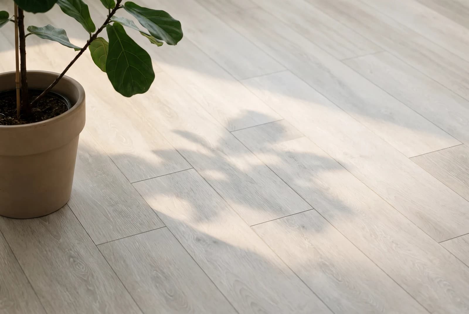 Klick-Vinyl Rigid Sassari — Detailansicht der Maserung