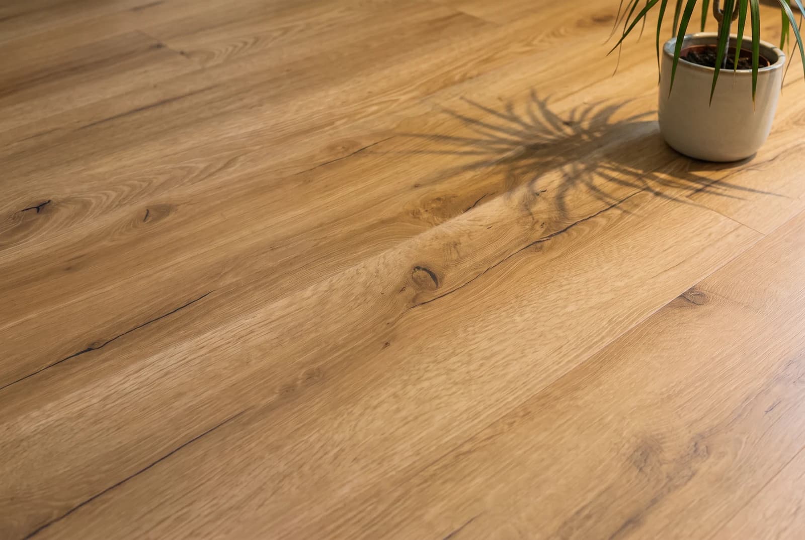 Klebe-Vinylboden Eiche Valencia Basic — Detailansicht der Maserung