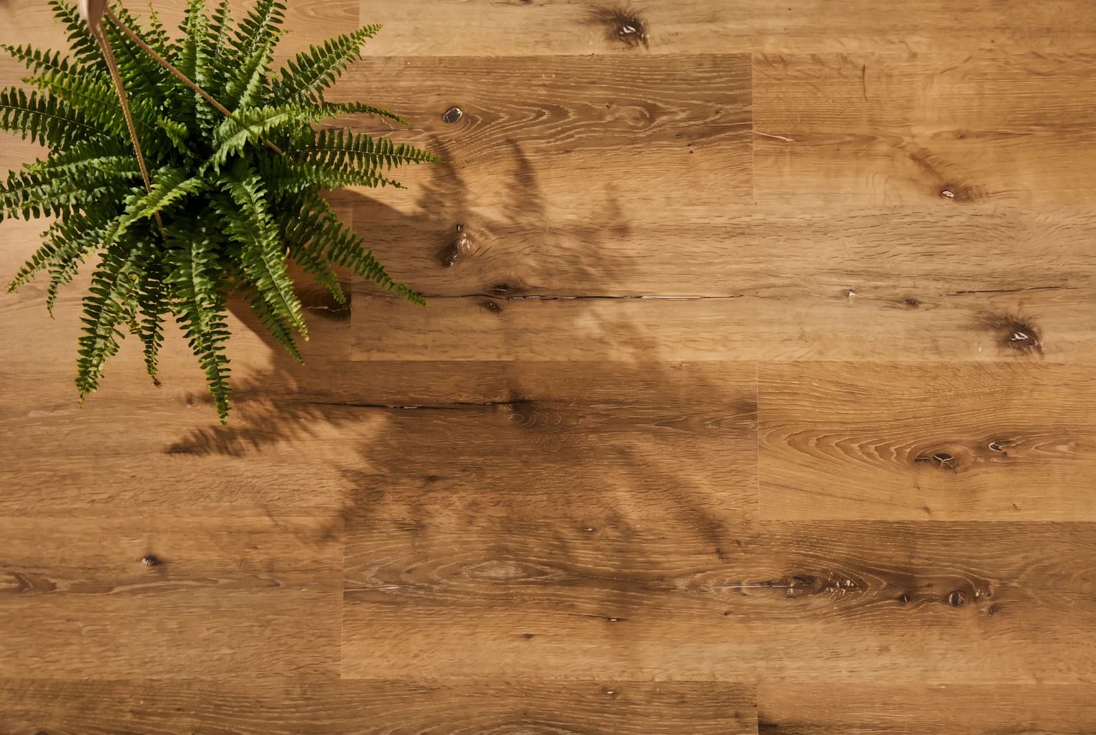 Klick-Vinyl Rigid Florence — Detailansicht der Maserung