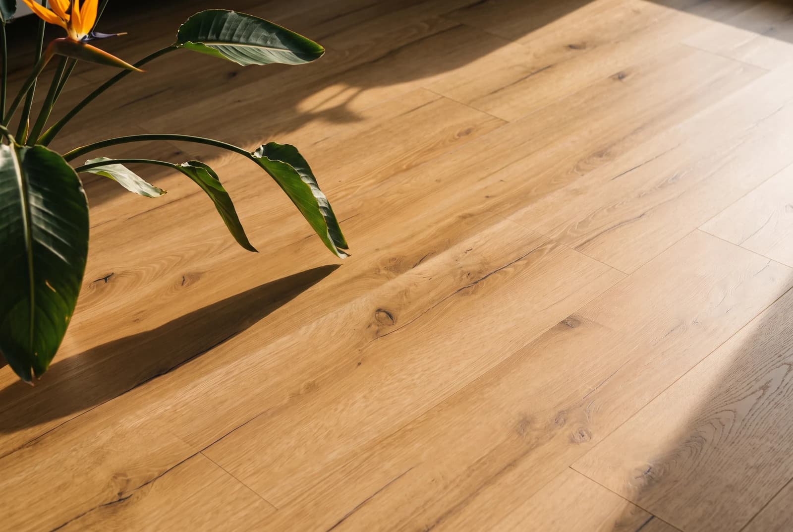 Klebe-Vinylboden Eiche Valencia Premium — Detailansicht der Maserung