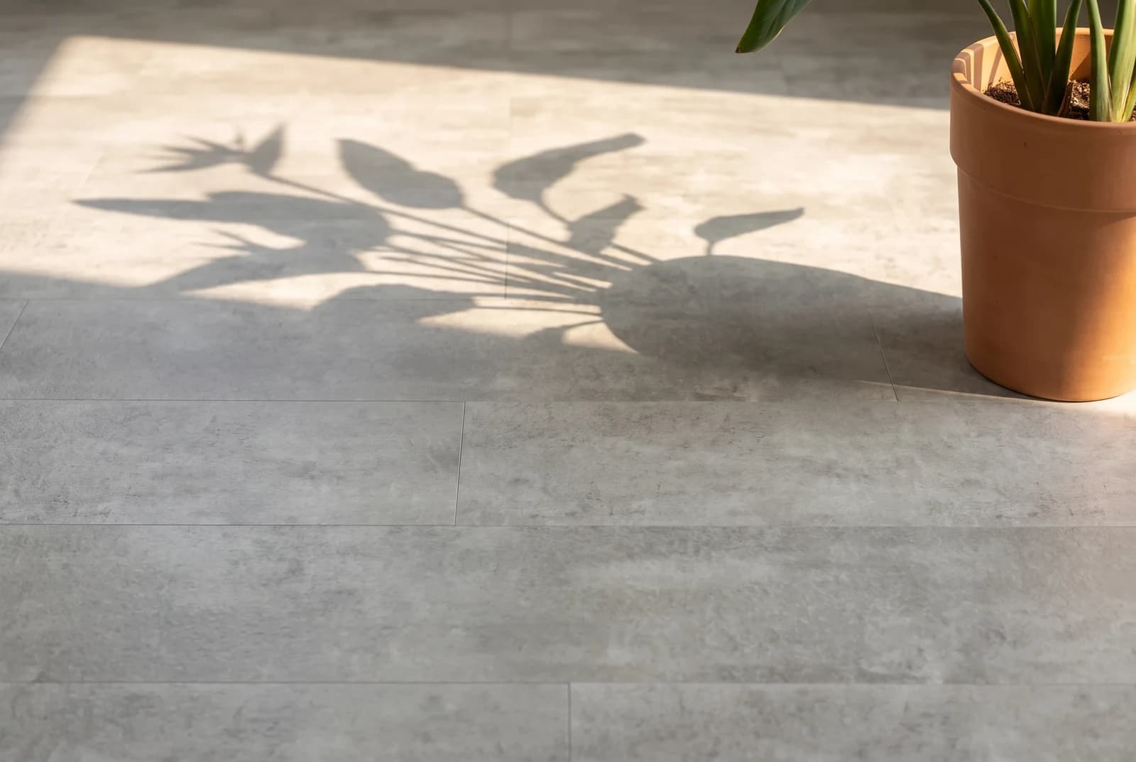 Klebe-Vinyl Barcelona — Detailansicht der Maserung